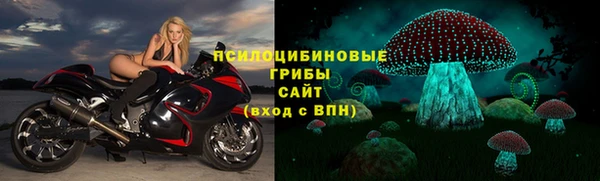 PSILOCYBIN Абдулино
