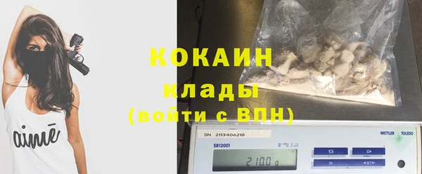сатива Абинск