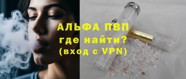 сатива Абинск