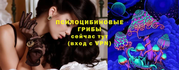 сатива Абинск
