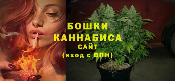PSILOCYBIN Абдулино