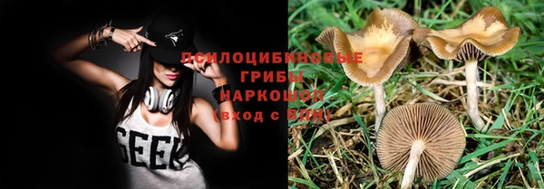 PSILOCYBIN Абдулино