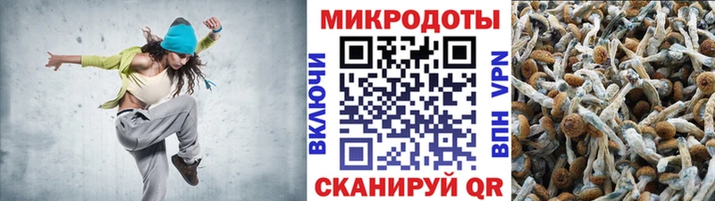 закладки  Усть-Катав  блэк спрут   Псилоцибиновые грибы Psilocybine cubensis 